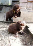 Превью фото № 214575