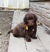 Превью фото № 214578