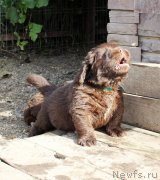 Превью фото № 214579