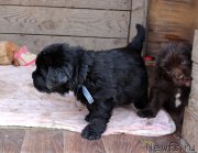 Превью фото № 214584