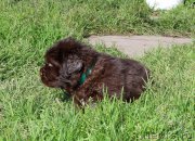 Превью фото № 214586