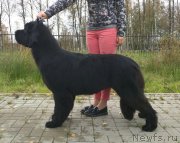 Превью фото № 214589