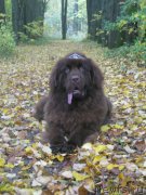 Превью фото № 214597