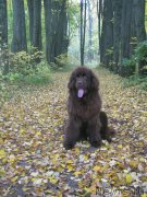 Превью фото № 214599