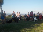 Превью фото № 214608