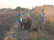 Превью фото № 214609