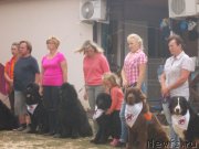 Превью фото № 214611