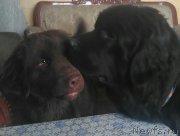 Превью фото № 214649