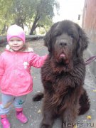 Превью фото № 214659