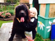 Превью фото № 214666