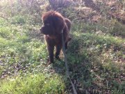 Превью фото № 214700