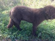 Превью фото № 214703