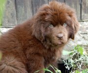 Превью фото № 214709