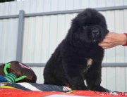 Превью фото № 214807