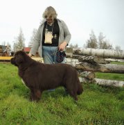 Превью фото № 214863