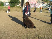 Превью фото № 214877