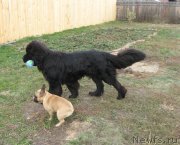 Превью фото № 214884