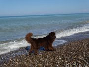 Превью фото № 214894