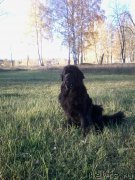 Превью фото № 214923