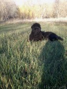 Превью фото № 214924