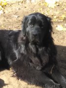 Превью фото № 214943