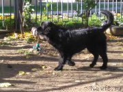 Превью фото № 214945