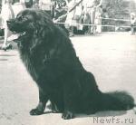 Превью фото № 2152