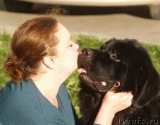 Превью фото № 215258