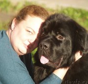 Превью фото № 215259