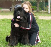 Превью фото № 215260