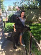 Превью фото № 215283