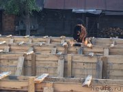 Превью фото № 215284