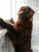 Превью фото № 215306