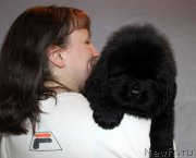 Превью фото № 215311