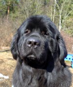 Превью фото № 215363