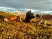 Превью фото № 215386