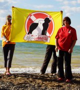 Превью фото № 215400