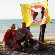 Превью фото № 215427