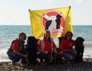 Превью фото № 215429