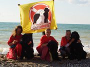 Превью фото № 215430