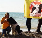 Превью фото № 215441