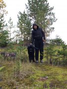 Превью фото № 215510