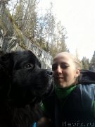 Превью фото № 215513