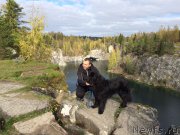 Превью фото № 215514