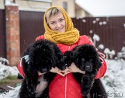 Превью фото № 215526