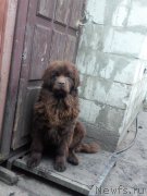 Превью фото № 215611