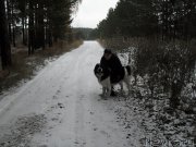 Превью фото № 215682