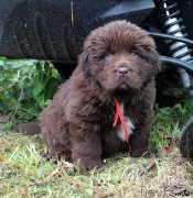 Превью фото № 215697