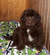 Превью фото № 215713