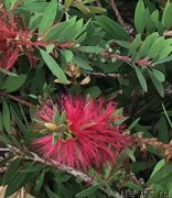 Превью фото № 215731